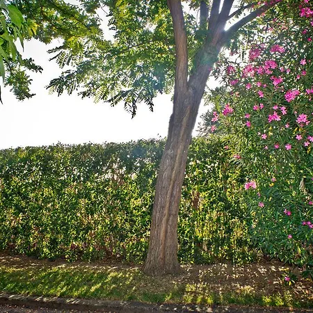 Oda ve Kahvaltı B&B La Fattoria *